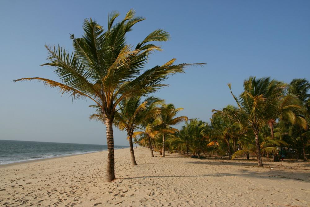 Marari Beach